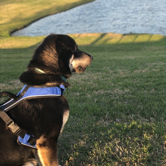 Meet your Posher, Fatima - Picture 2 of 4